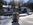 Bella im Winter